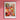 a flower market poster hangs on a pink wall