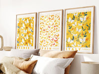 Set of 3 posters (50x70cm) - Butterflies - Posters - Enchanted Sights