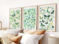 Set of 3 posters (50x70cm) - Butterflies - Posters - Enchanted Sights